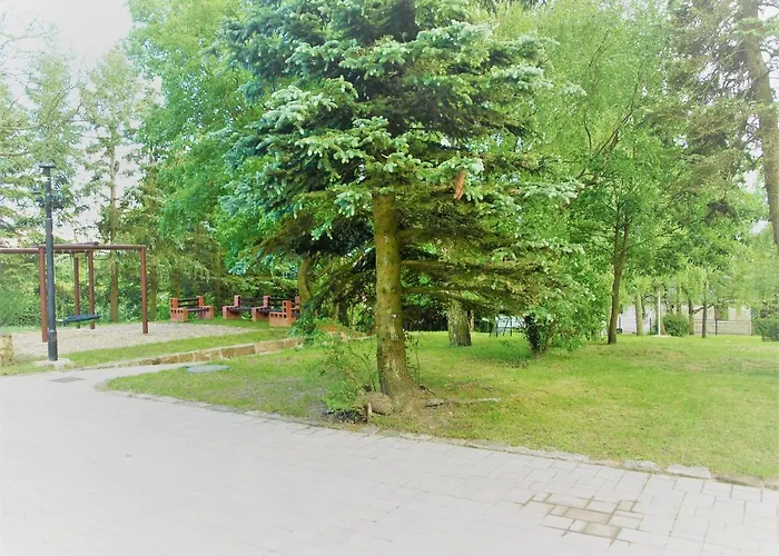 Luft * Sněžník